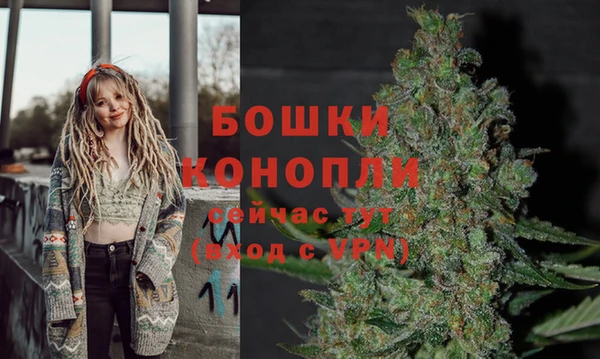 PSILOCYBIN Абдулино