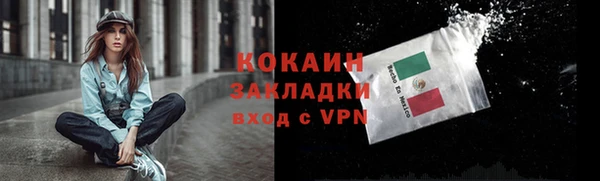 твердый Абаза