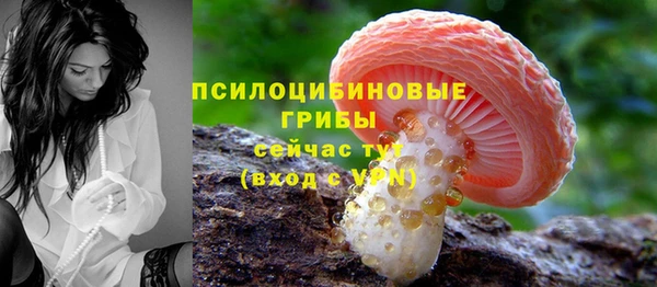 твердый Абаза